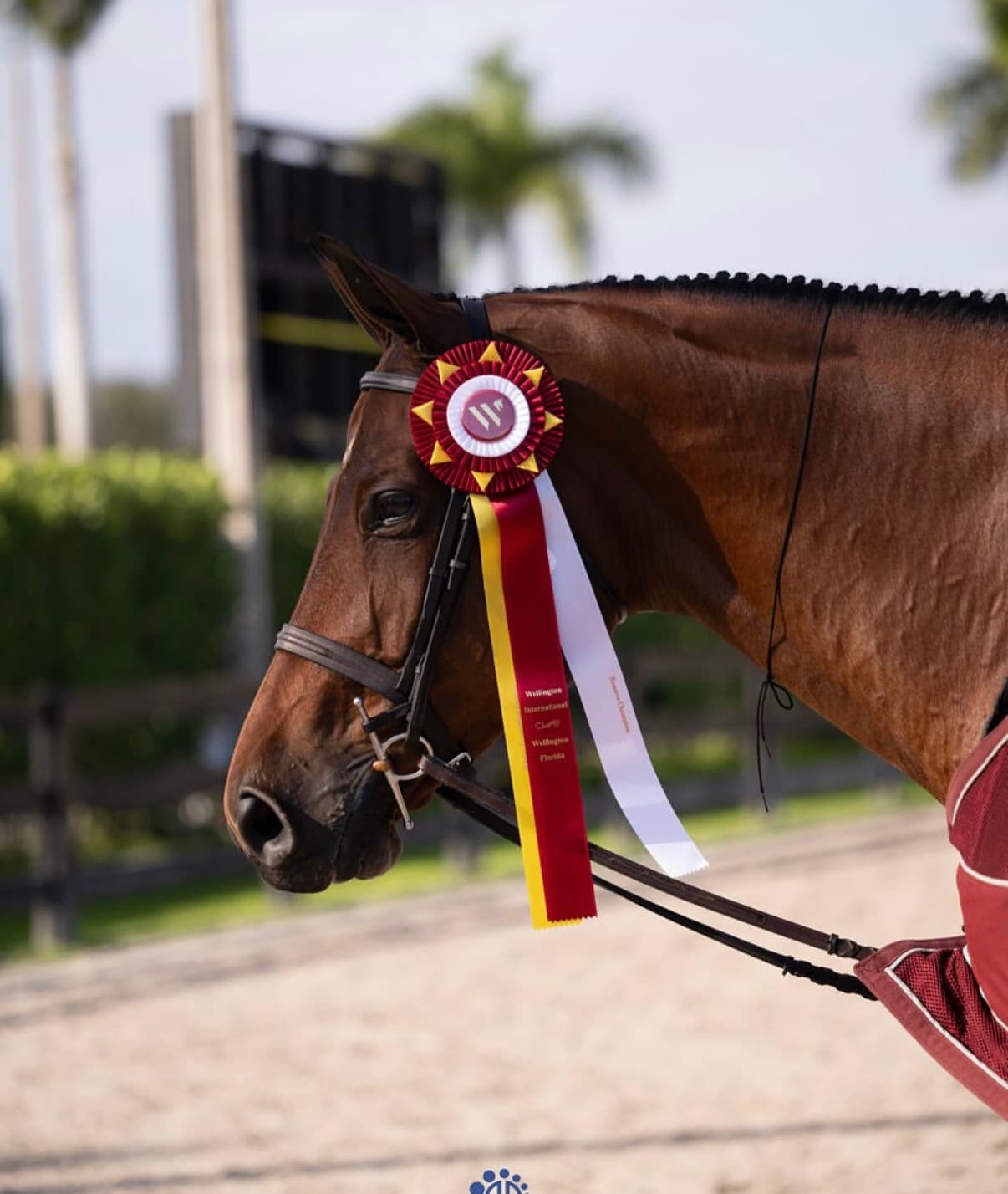 Holland Equestrian